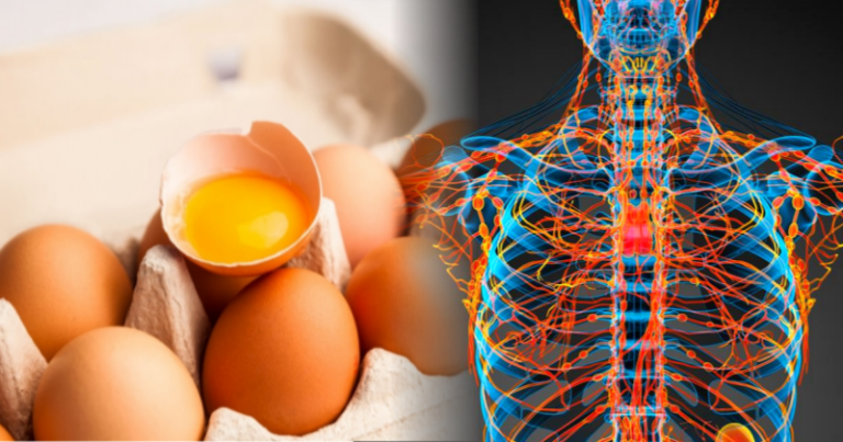 계란을 매일 먹으면 몸에 생기는 변화